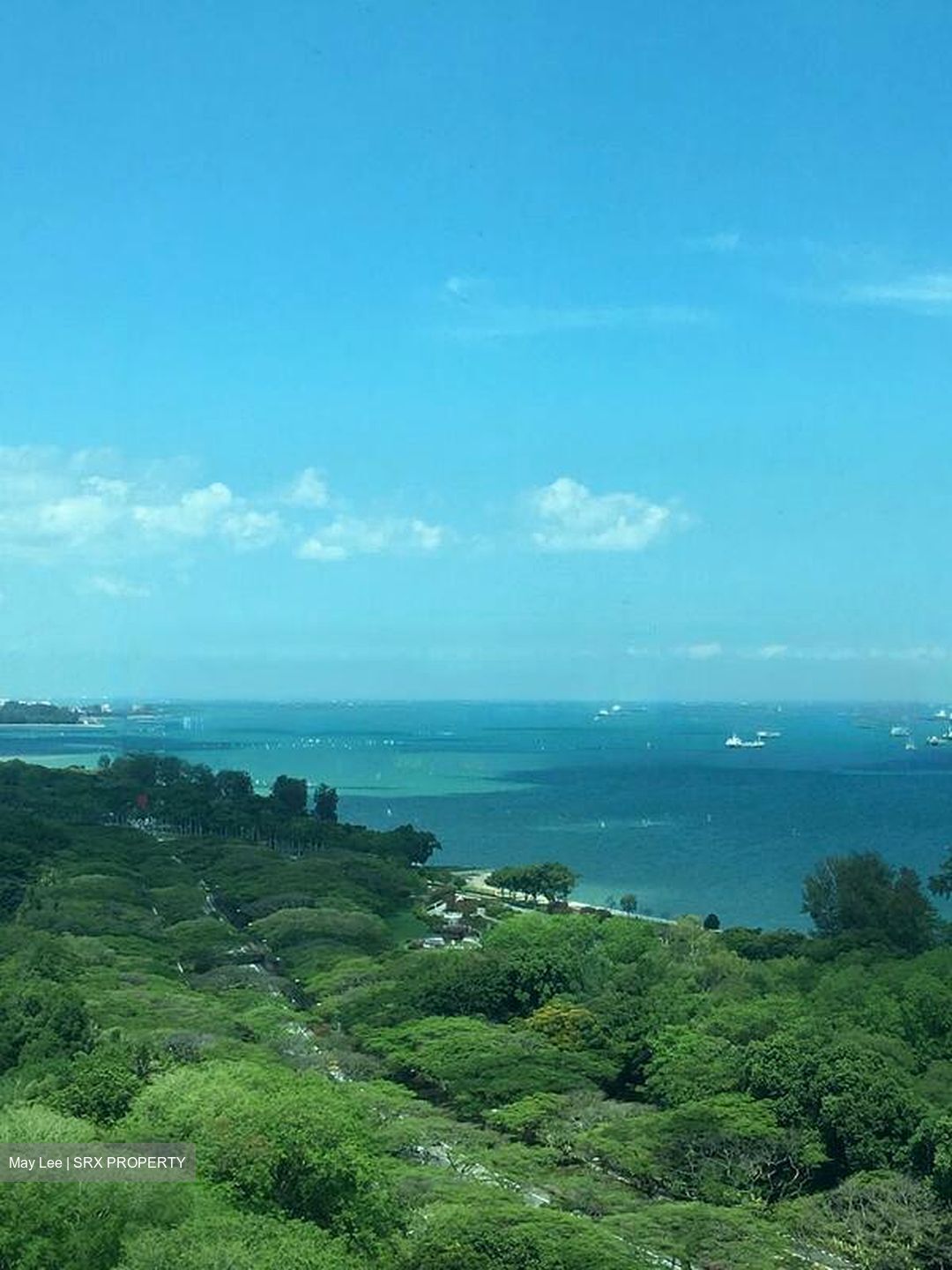 Costa Del Sol (D16), Condominium #466889871